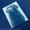 Chocolate Labrador Magnetic Notepad